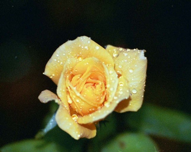 23A